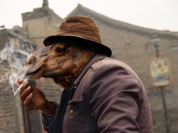 Smoking Camel Picture